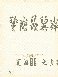 孙小萌的小说免费阅读无弹窗封面