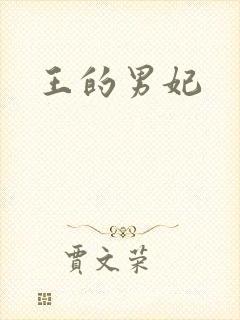 王的男妃封面