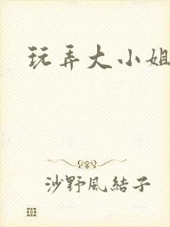 玩弄大小姐小说