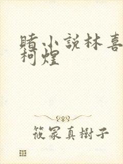 赌小说林喜朝和柯煜封面