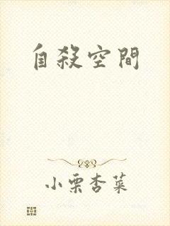 自杀空间