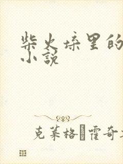 柴火垛里的疯狂小说