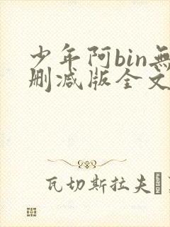 少年阿bin无删减版全文阅读封面