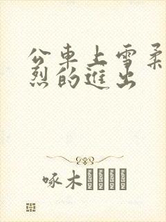 公车上雪柔被猛烈的进出