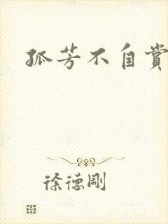 孤芳不自赏小说