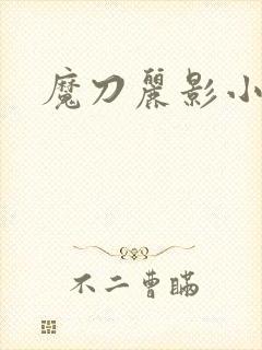 魔刀丽影小说