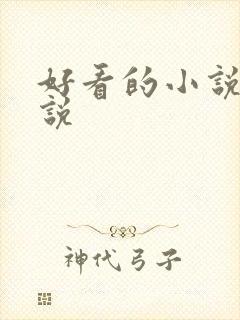 好看的小说h小说