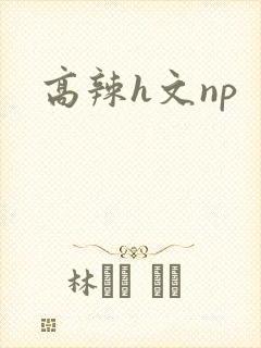 高辣h文np