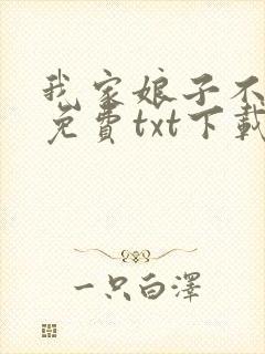 我家娘子不对劲免费txt下载