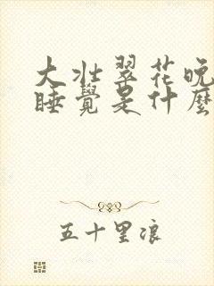 大壮翠花晚上不睡觉是什么电视剧