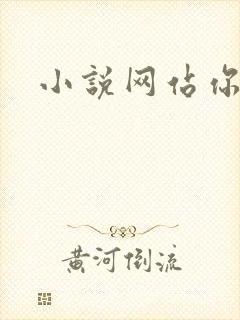 小说网站你懂的