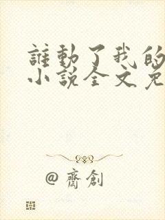 谁动了我的老婆小说全文免费阅读一