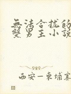 无法合拢的总裁双男主小说