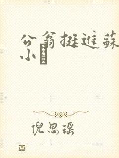 公翁挺进苏玥的小泬