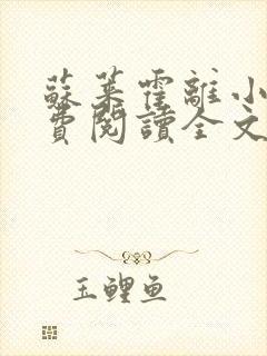 苏莱霍离小说免费阅读全文封面