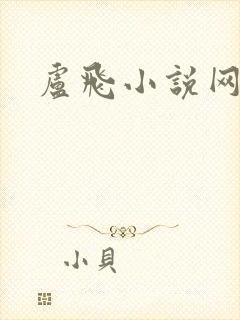 卢飞小说网