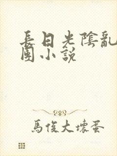 长日光阴乱作一团小说封面