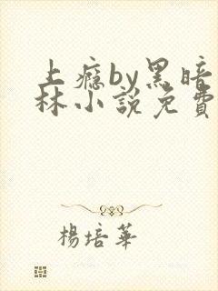 上瘾by黑暗森林小说免费