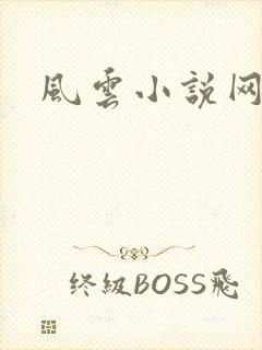 风云小说网