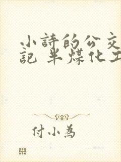 小诗的公交车日记 半煤化工封面