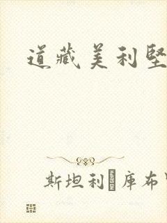 道藏美利坚封面