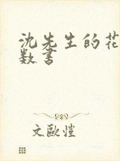 沈先生的花式调数书