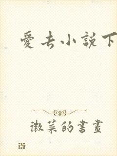 爱去小说下载网