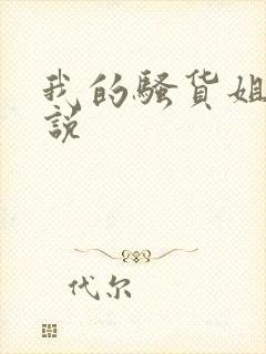 我的骚货姐姐小说