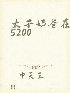 太子奶爸在花都5200