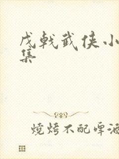 戊戟武侠小说全集