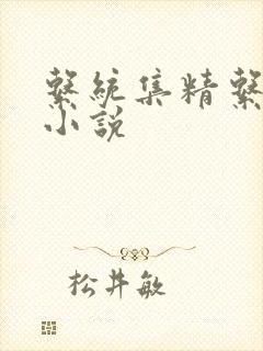 系统集精系统 小说