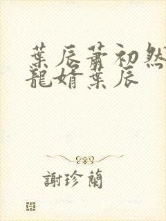 叶辰萧初然上门龙婿叶辰封面