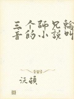 三个师兄轮流上音的小说叫什么