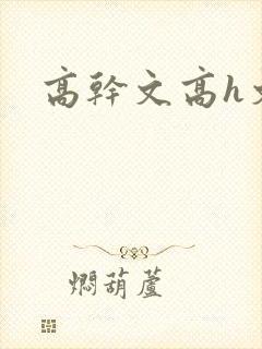 高干文高h文