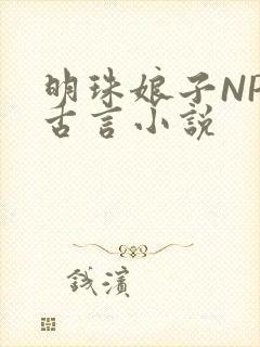 明珠娘子NPC古言小说封面