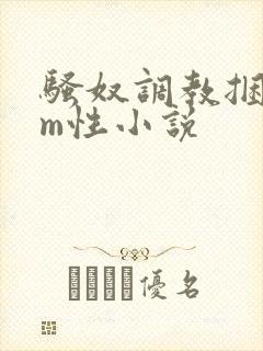 骚奴调教捆绑sm性小说封面