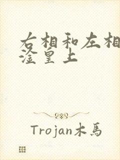 右相和左相一起淦皇上