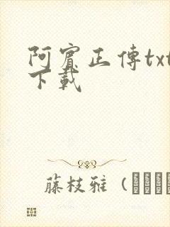 阿宾正传txt下载