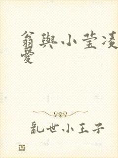 翁与小莹凌晨欢爱封面