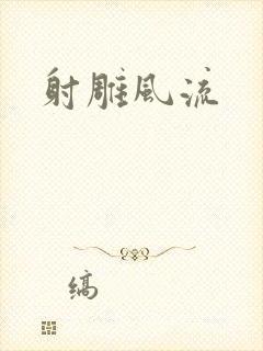 射雕风流封面