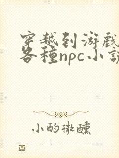 穿越到游戏里和各种npc小说