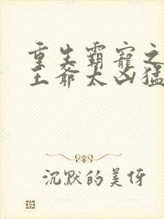 重生霸宠之摄政王爷太凶猛