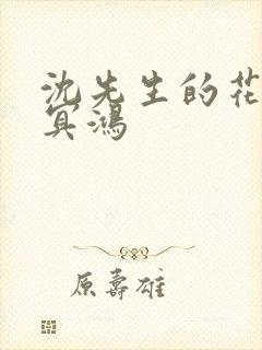 沈先生的花式调冥鸿