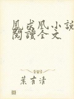 凤求凰小说免费阅读全文