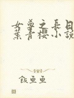 女尊之长日光明叶青樱小说笔趣阁