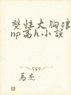 双性大胸浪荡受np高h小说