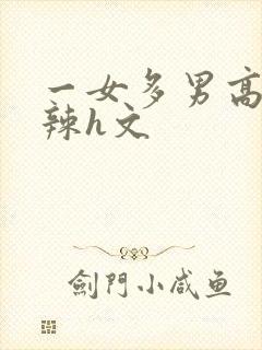 一女多男高h高辣h文