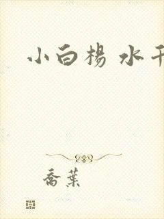 小白杨 水千丞