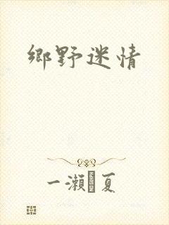 乡野迷情封面