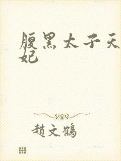 腹黑太子天降萌妃